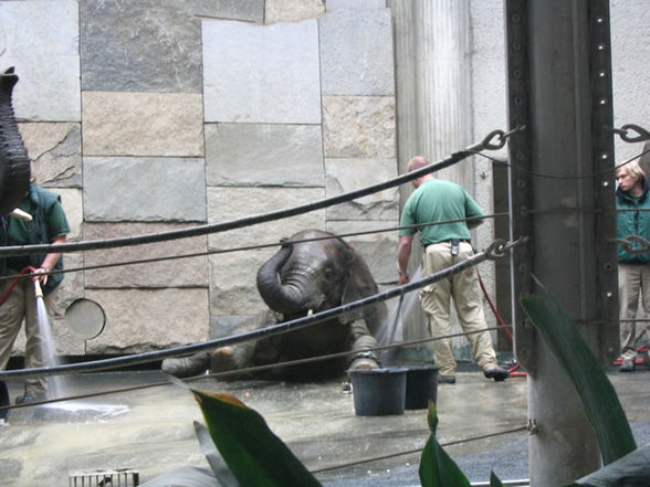 Tierpark Schönbrunn - 