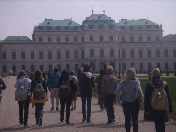 I ♥ VIENNA - 