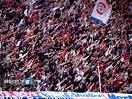 hajduk split torcida - 