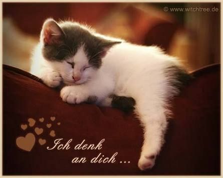 KatzeN .......!!! - 