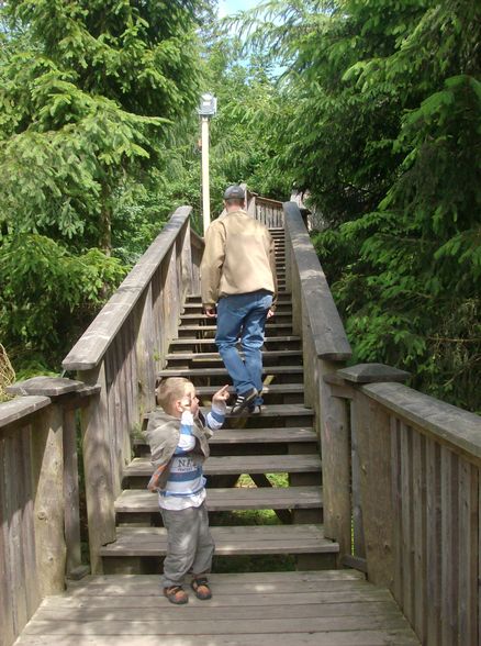 Baumkronenweg Kopfing - 