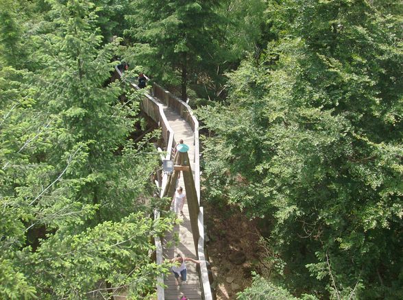 Baumkronenweg Kopfing - 