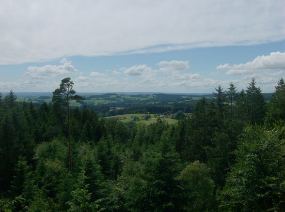 Baumkronenweg Kopfing - 