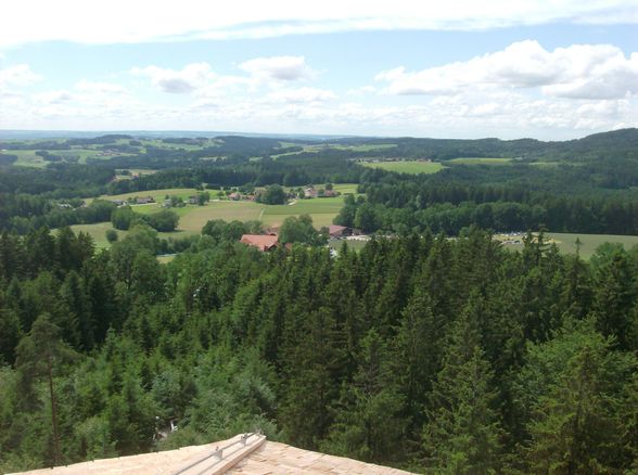 Baumkronenweg Kopfing - 