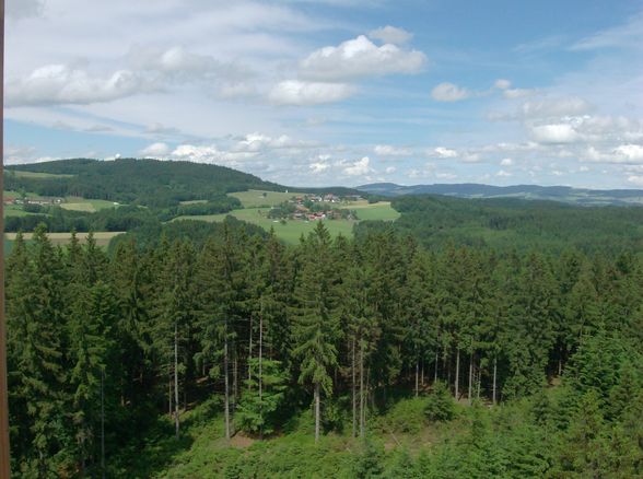 Baumkronenweg Kopfing - 