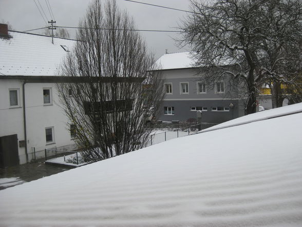 der erste schnee :-) - 