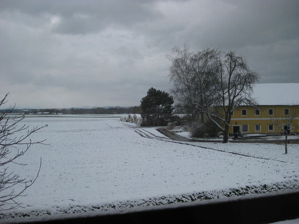 der erste schnee :-) - 