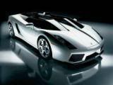 Hot & Exotic Cars - 