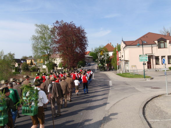 Maibaum Aufstellen in Stadl-Paura - 