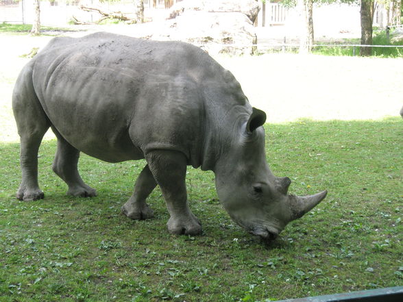 Katharina's erster Besuch im Tiergar - 