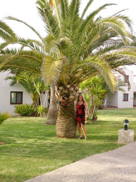 Urlaub Fuerteventura 2005 - 