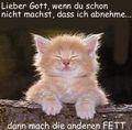 geil^^ - 