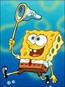 Spongebob - 