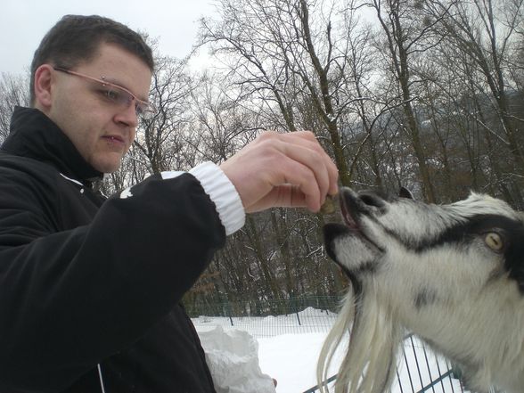 Tierpark Pöstlingberg - 