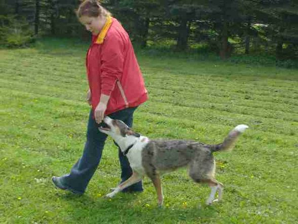 hunDESchUlLLeEE  BERGLAND - 