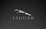 Jaguar - 