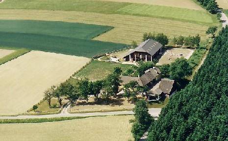 *Reithof Limbach* - 