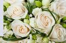 Blumen  - 