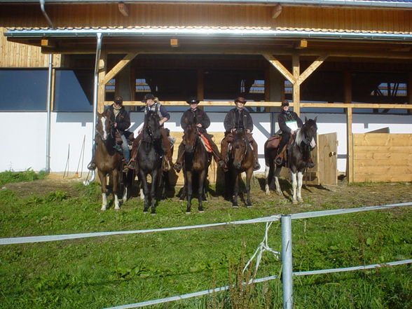 Streifzüge der Ranch - 