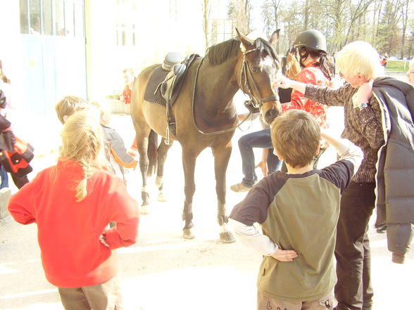 mein pferd soraja - 