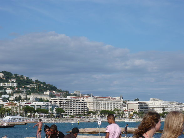 Cannes 2008 - 