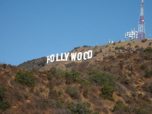 hollywood - 