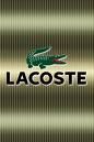 Lacoste - 