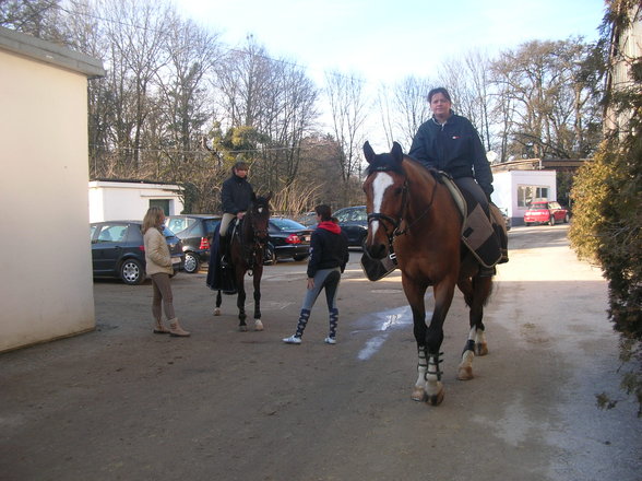 Reitstall EBB 2007 - 