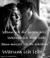 Fragen - 