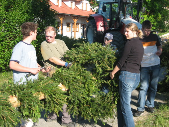 Lj-Maibaumaufstellen 2007 - 