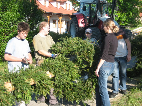 Lj-Maibaumaufstellen 2007 - 