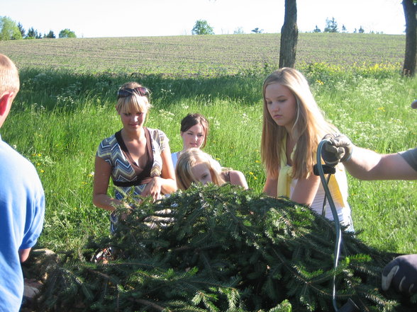 Lj-Maibaumaufstellen 2007 - 