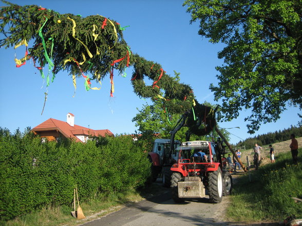 Lj-Maibaumaufstellen 2007 - 