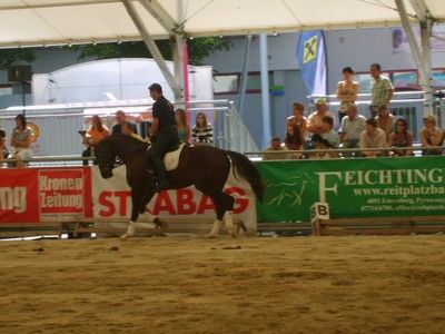 Pferdemesse Wels 2009 - 