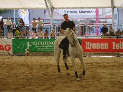 Pferdemesse Wels 2009 - 