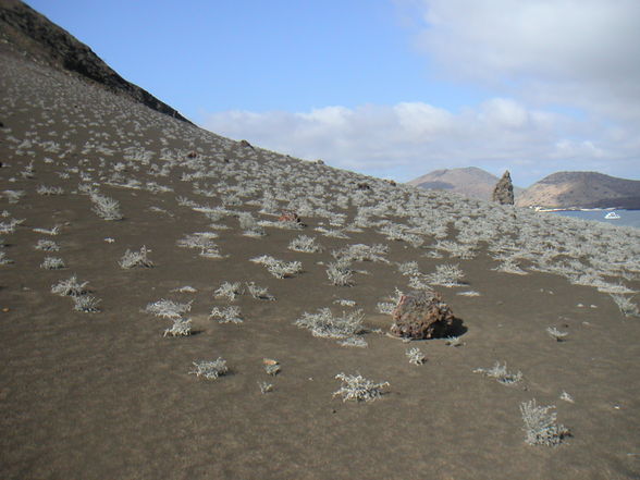 Tauchen - Galapagos  - 