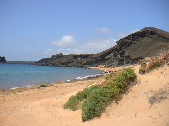 Tauchen - Galapagos  - 