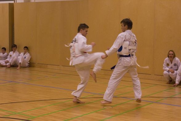 Tae-Kwon-Do Gürtelprüfung 3.12.2010 - 