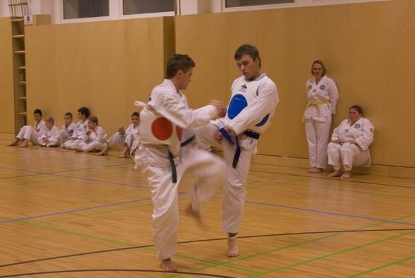 Tae-Kwon-Do Gürtelprüfung 3.12.2010 - 