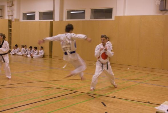 Tae-Kwon-Do Gürtelprüfung 3.12.2010 - 