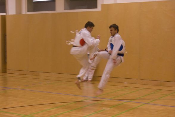 Tae-Kwon-Do Gürtelprüfung 3.12.2010 - 