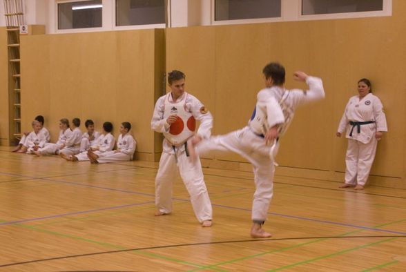 Tae-Kwon-Do Gürtelprüfung 3.12.2010 - 