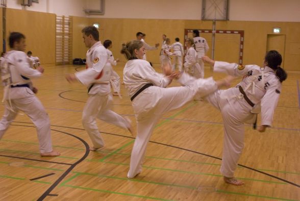 Tae-Kwon-Do Gürtelprüfung 3.12.2010 - 