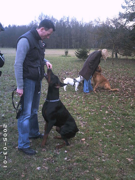 Dobermänner & Friends - 