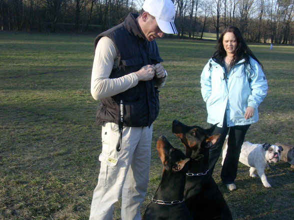 Dobermänner & Friends - 