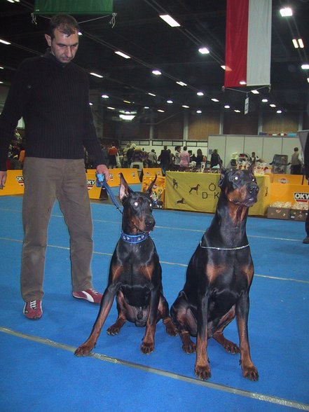 Dobermänner & Friends - 