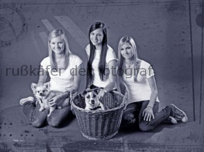 SiSteRs & DoGs  - 