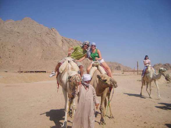 Ägypten 2008 - 