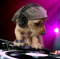 DeR CooLsTe DJ - 