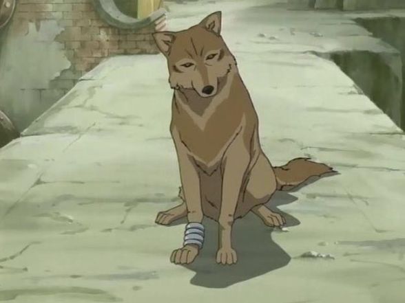 Wolfs Rain - 